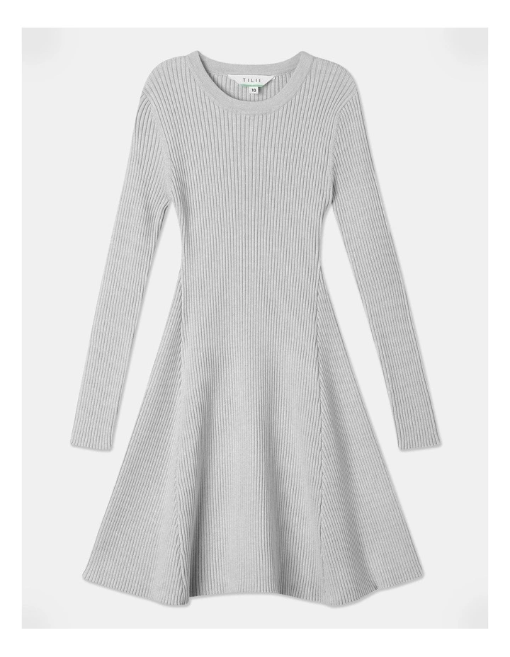 Long Sleeve Knitted Skater Dress in Grey Marle