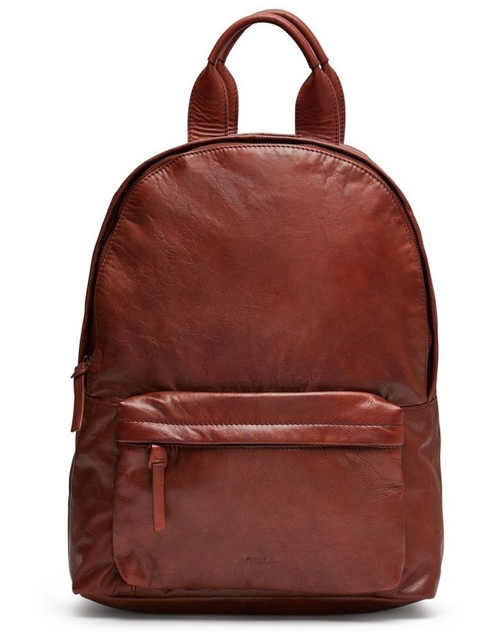Hugo Leather Backpack in Brown