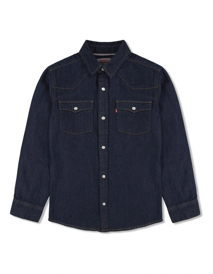 Barstow Western Shirt in Pearson