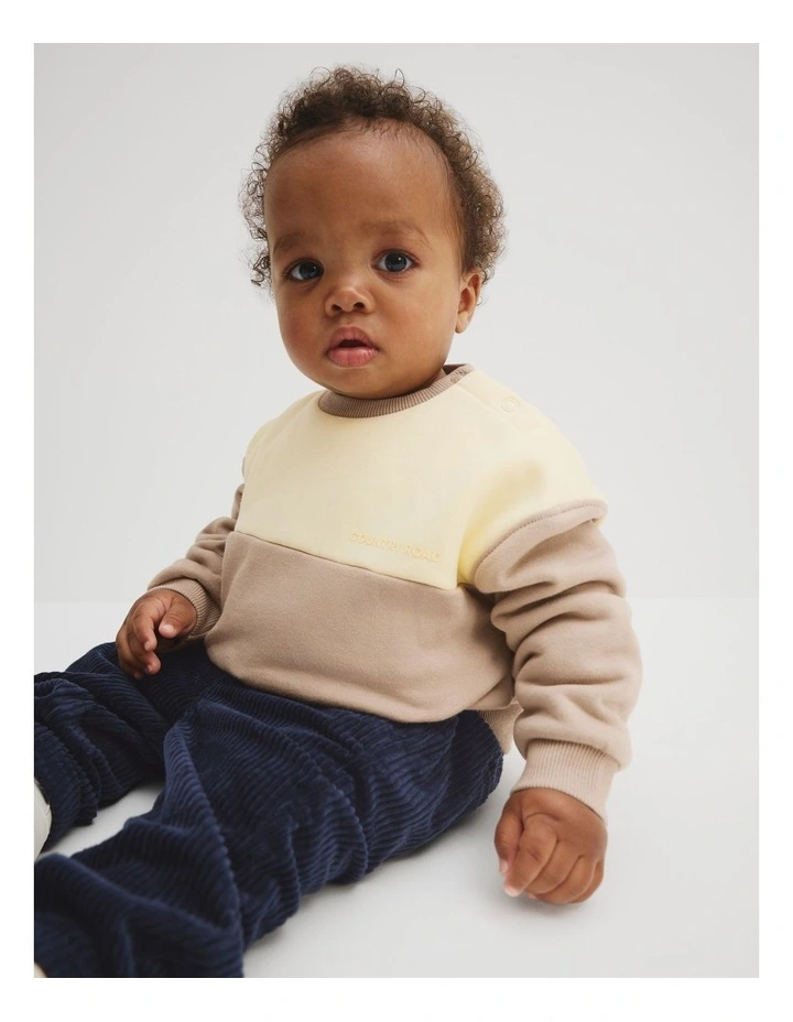 Organically Grown Cotton Spliced Sweat in Mushroom