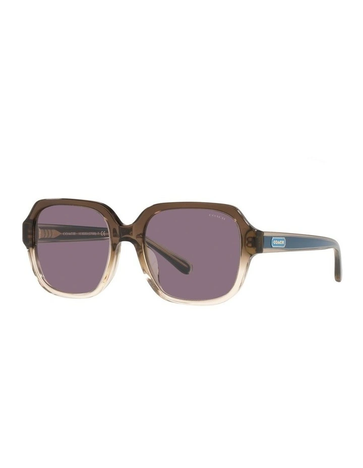 HC8335U C7989 Beige Sunglasses