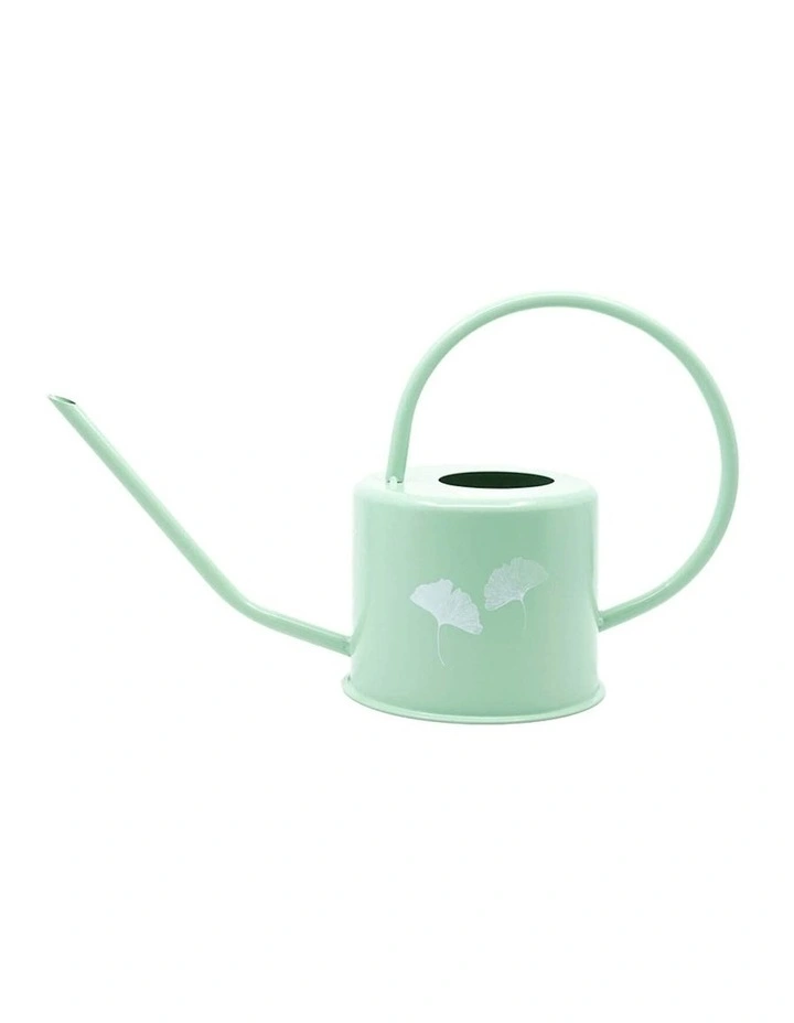 Ginkgo Metal Watering Can 36cm in Pistachio