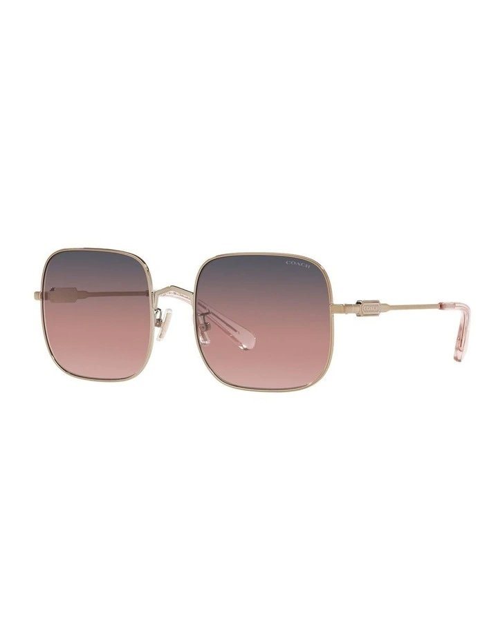 HC7120 L1169 Gold Sunglasses