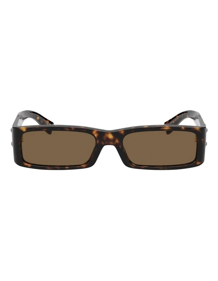 DG4444 Tortoise Sunglasses in Brown