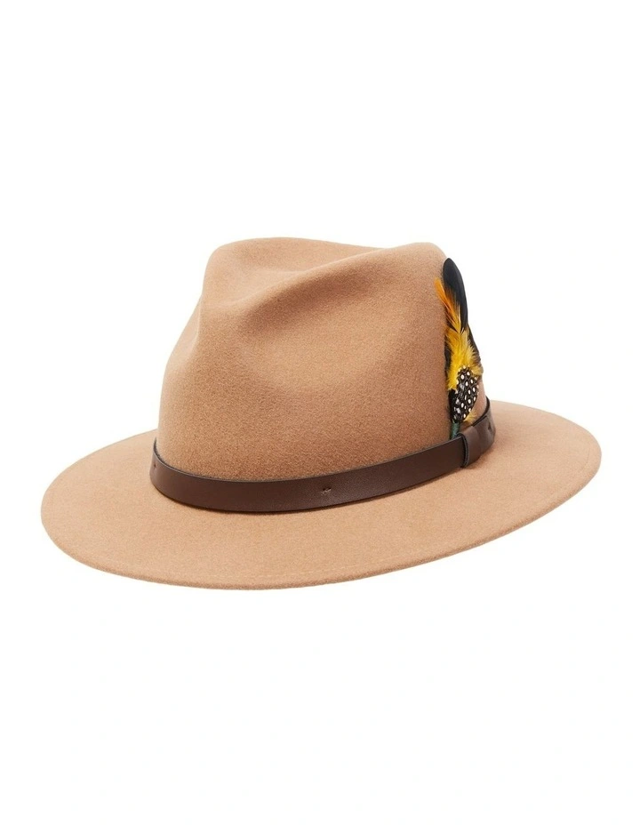 David Fedora in Brown