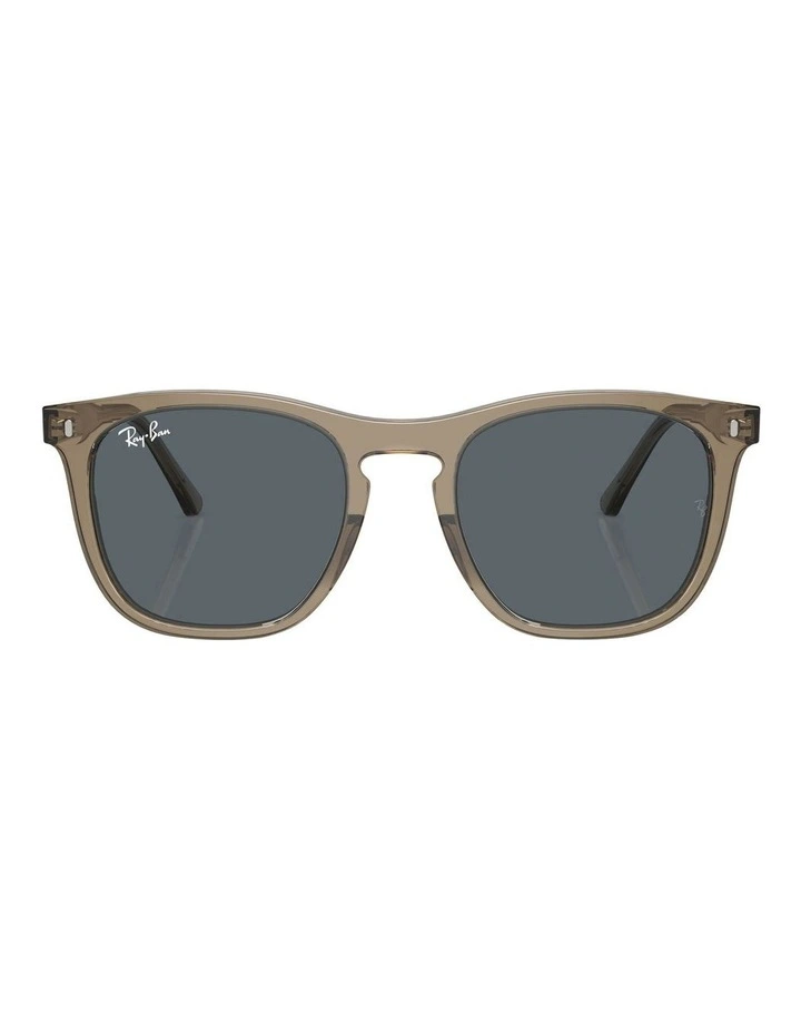 RB2210 Sunglasses in Brown