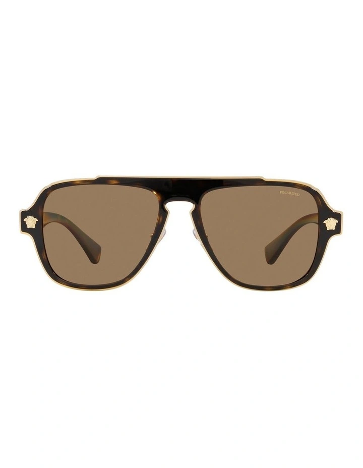 VE2199 Polarised Sunglasses in Tortoise