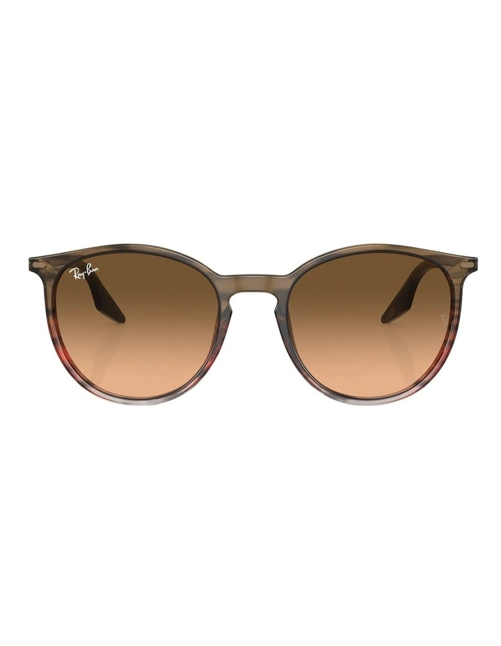 RB2204 Sunglasses in Brown