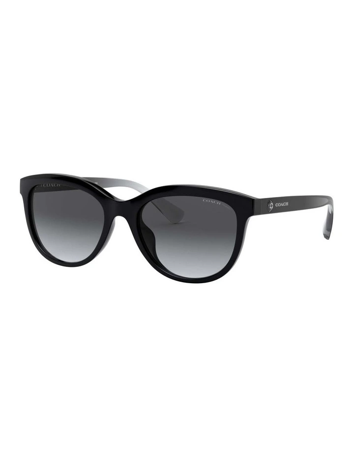 HC8285U L1137 Black Polarised Sunglasses