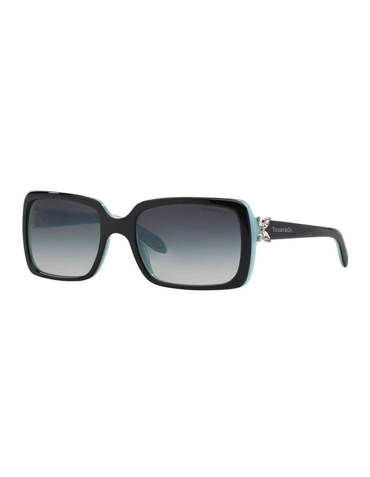 TF4047B Black Sunglasses