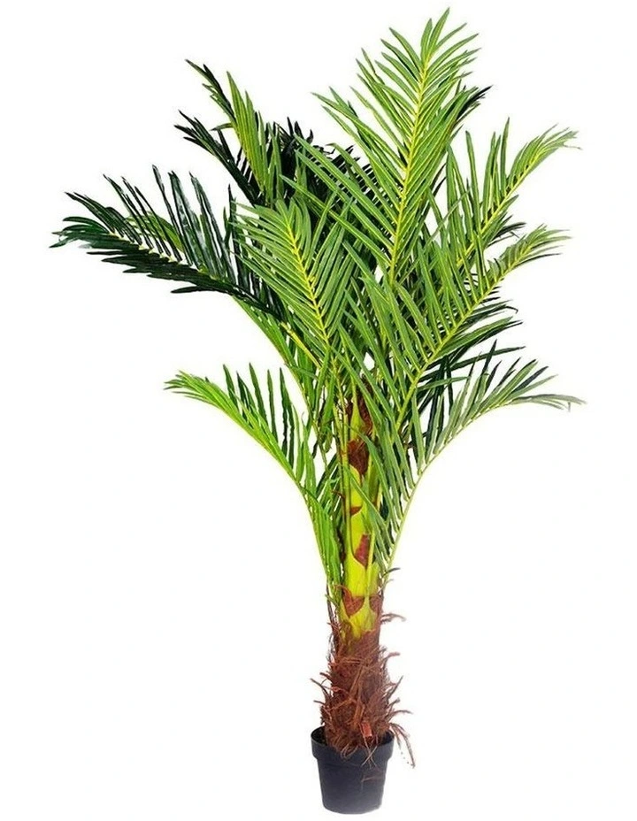 Phoenix Palm Artificial Plant 180cm