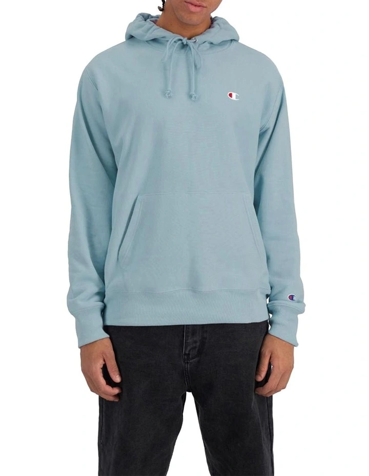 Reverse Weave French Terry Hoodie in Sage Shimmer Green