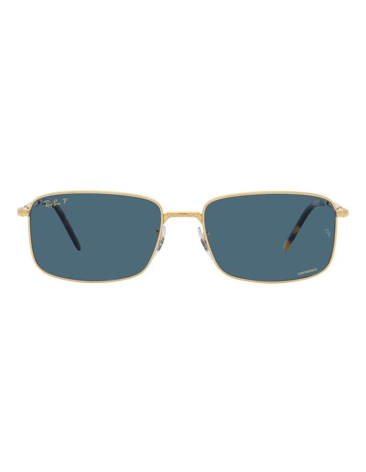 RB3717 Polarised Sunglasses in Gold
