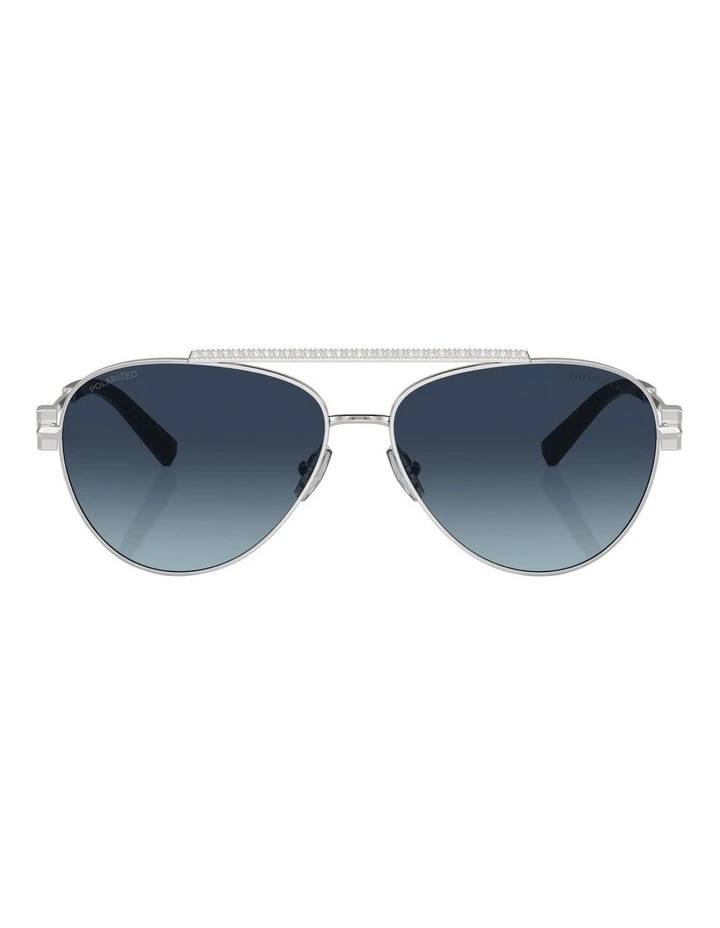 TF3101B Polarised Sunglasses in Silver