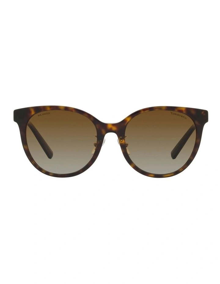 TF4209D Polarised Sunglasses in Tortoise