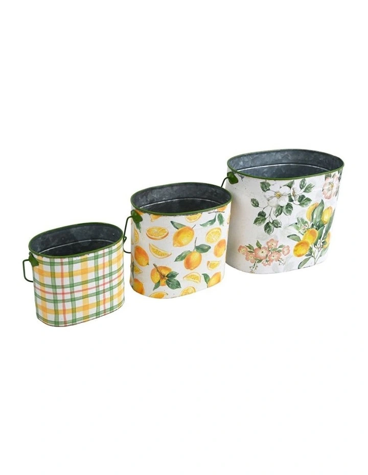 Summer Lemons Pot Planter Buckets Set of 3 in Multi