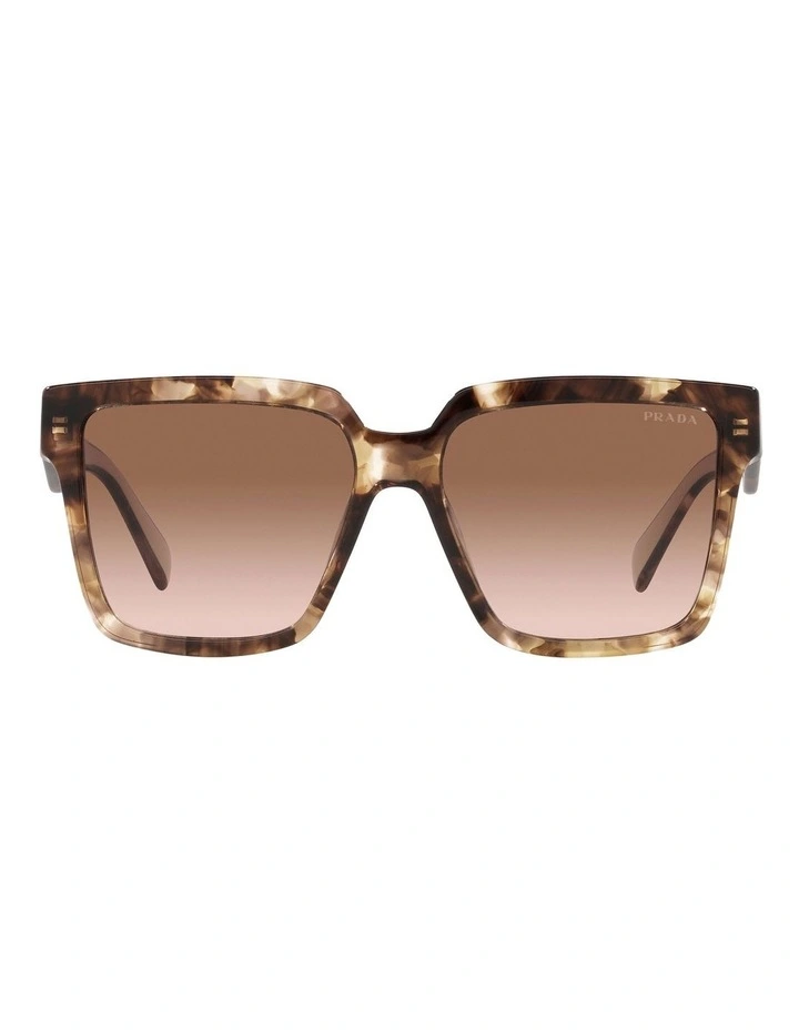 PR 24ZS Tortoise Sunglasses in Brown
