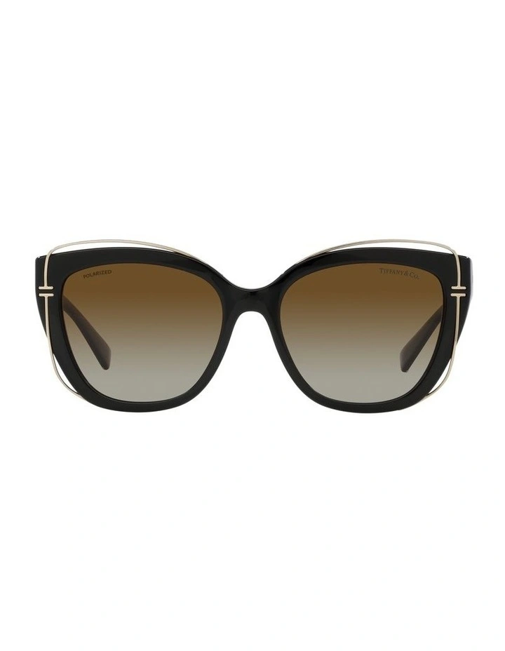 0TF4148 Polarised Sunglasses In Black