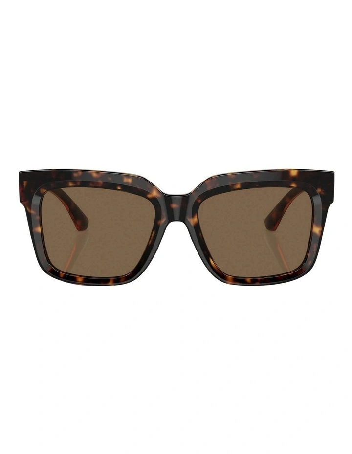 BE4419 Sunglasses in Brown