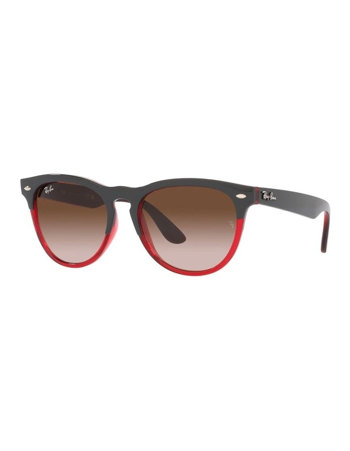 IRIS Sunglasses In Black