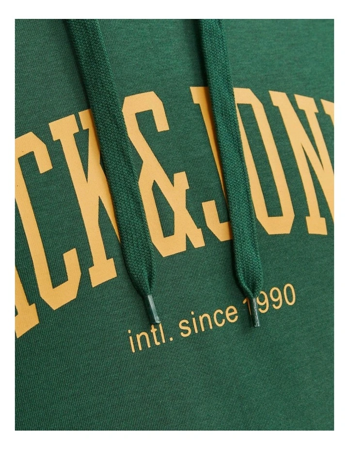 Josh Hooded Sweatshirt in Green