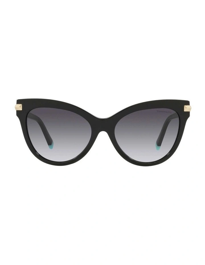 TF4182 Black Sunglasses