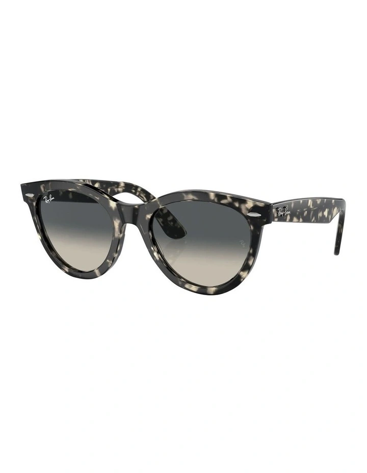 Wayfarer Way Sunglasses in Grey