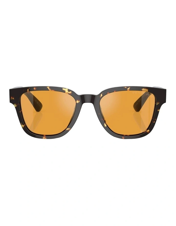 PR A04S Polarized Sunglasses in Brown