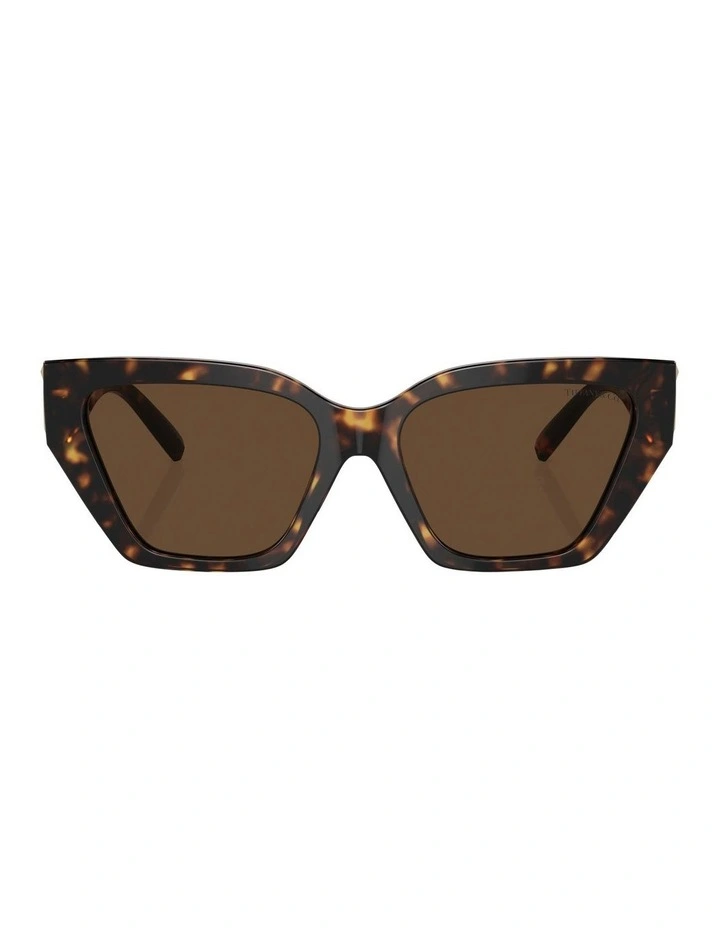 TF4218F Sunglasses in Tortoise