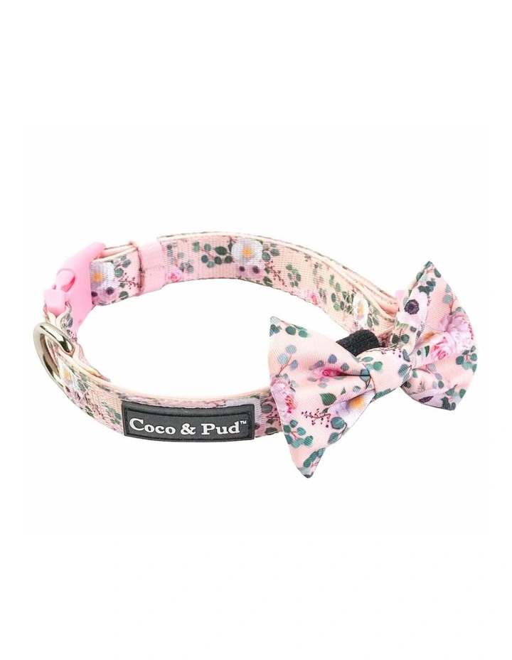 Provence Rose Dog Collar