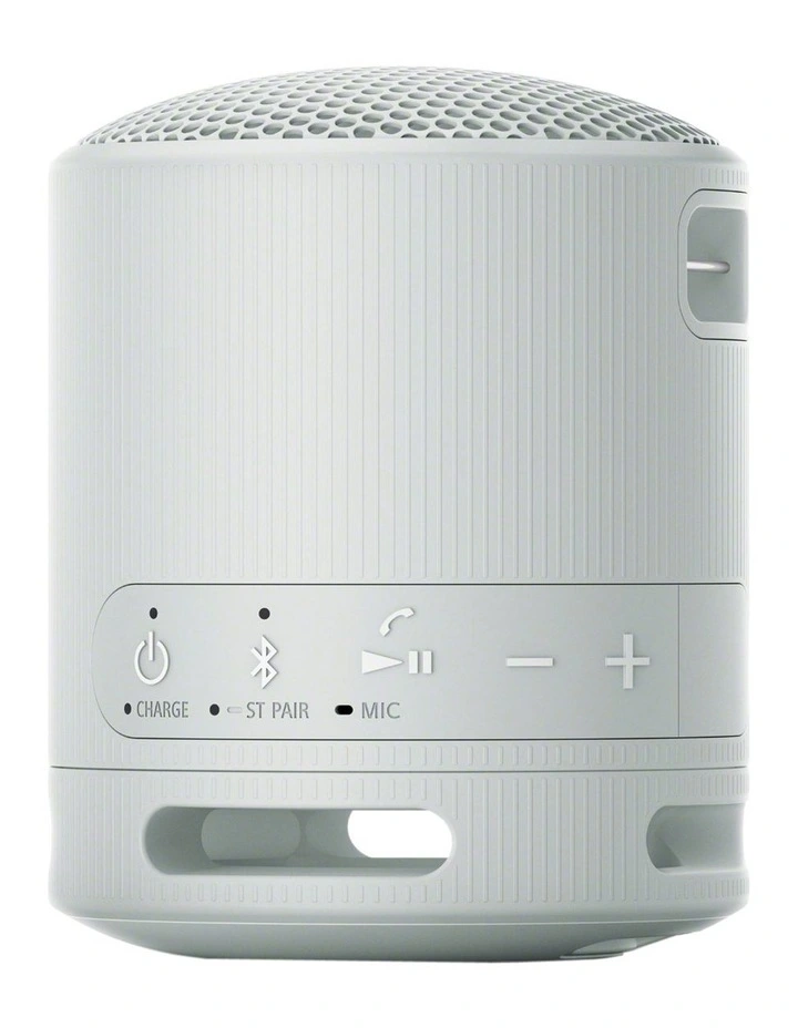 Compact Wireless Bluetooth Speaker in Grey SRSXB100H