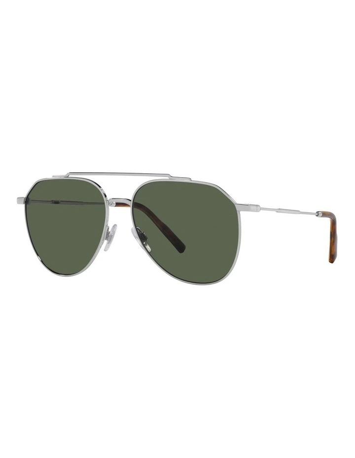 DG2296 Polarised Sunglasses in Silver