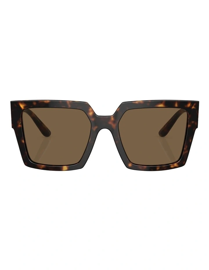 DG4446B Sunglasses in Tortoise