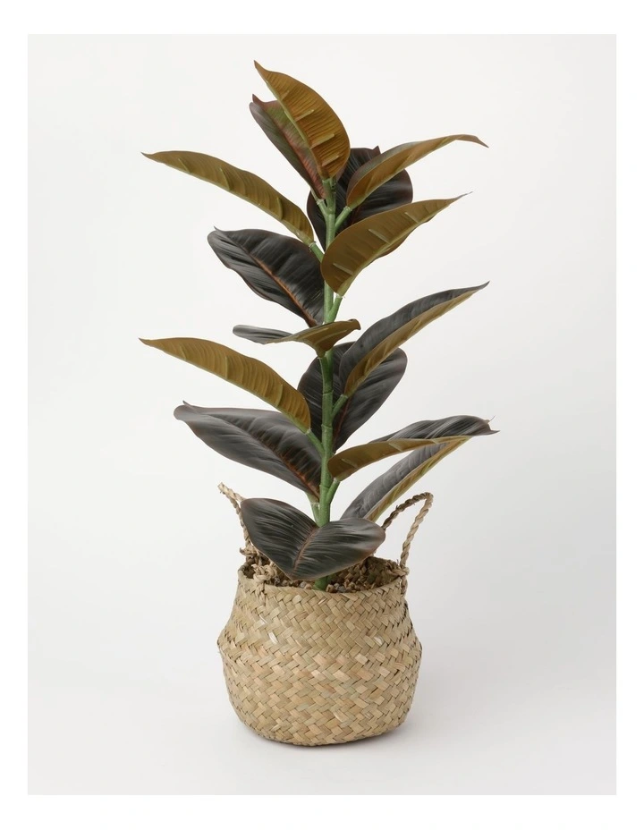 Rubber Tree Artificial Plant in Woven Basket 58cm in Natural