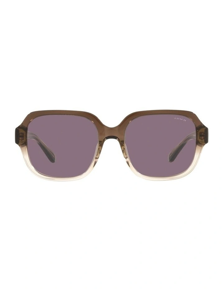 HC8335U C7989 Beige Sunglasses