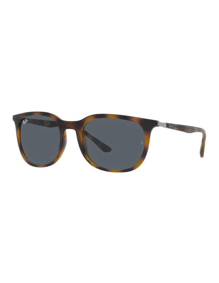0RB4386 Sunglasses In Havana