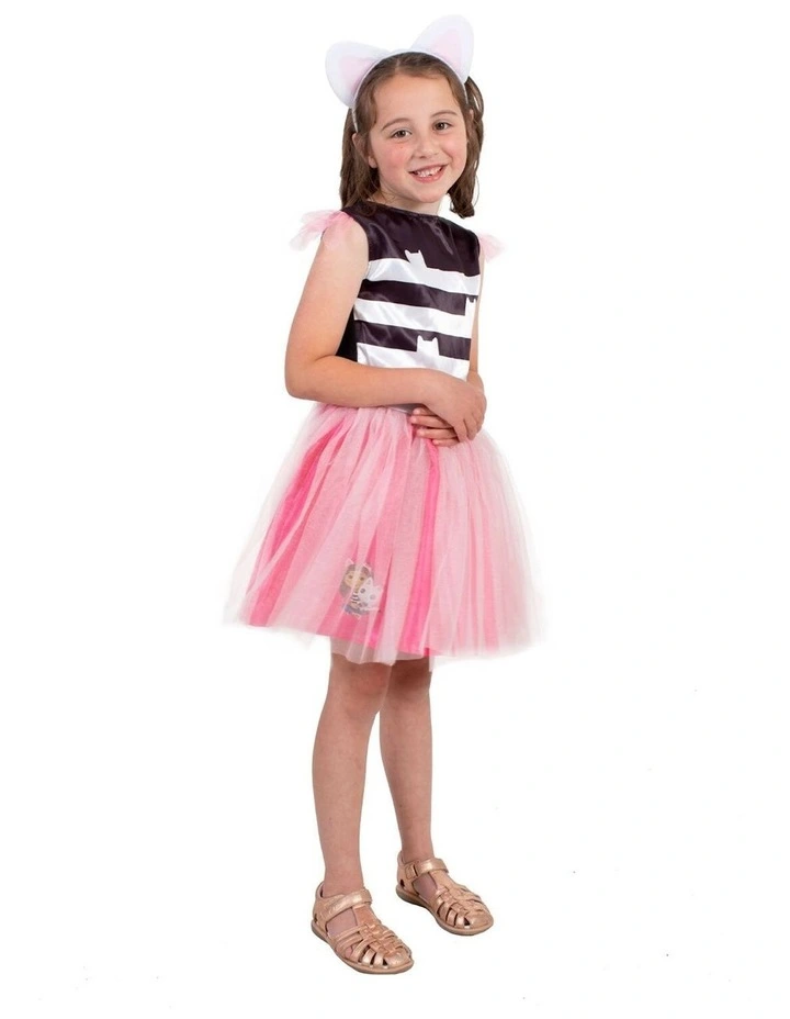 Gabby Tutu Costume