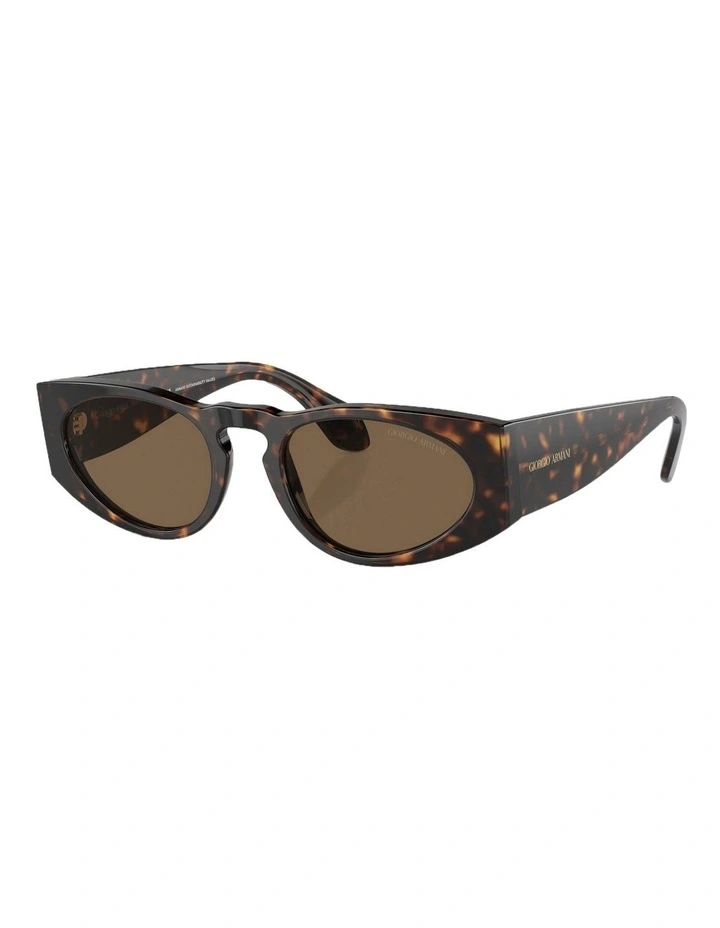 AR8216 Sunglasses in Tortoise