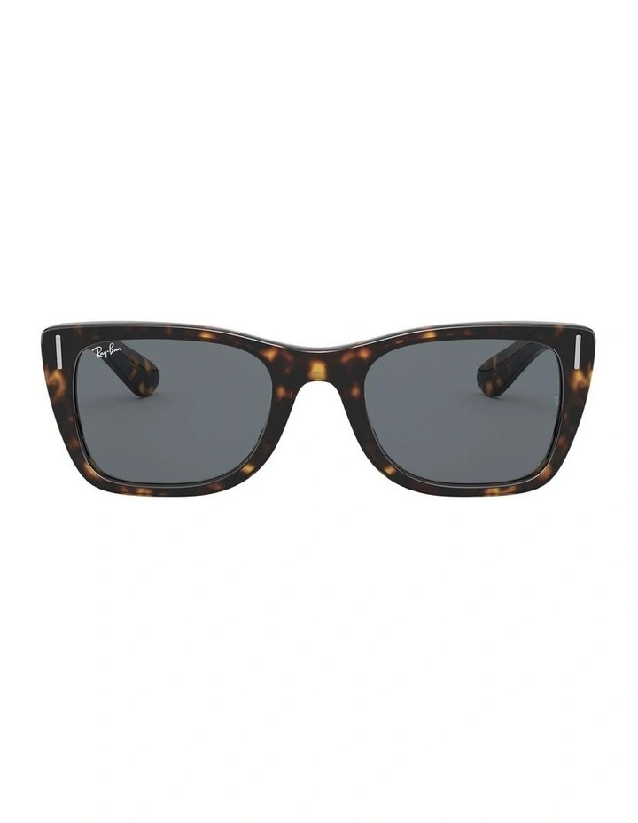 Caribbean Brown RB2248 Sunglasses