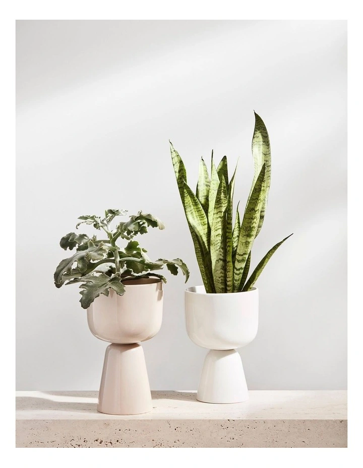 Nappula 26cm Plant Pot Beige