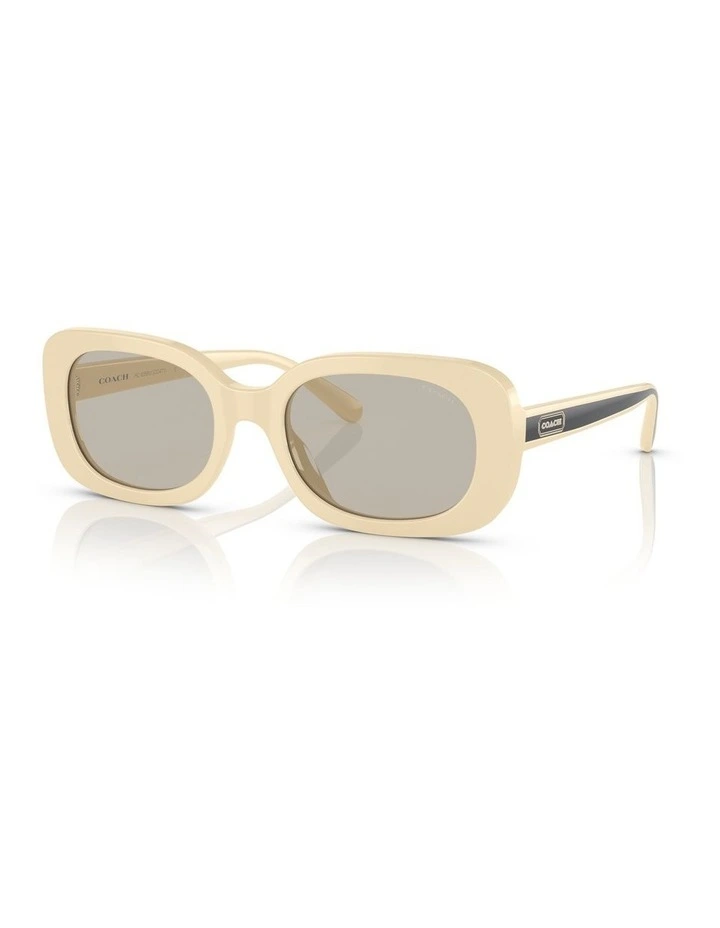 CD471 Sunglasses in Off White