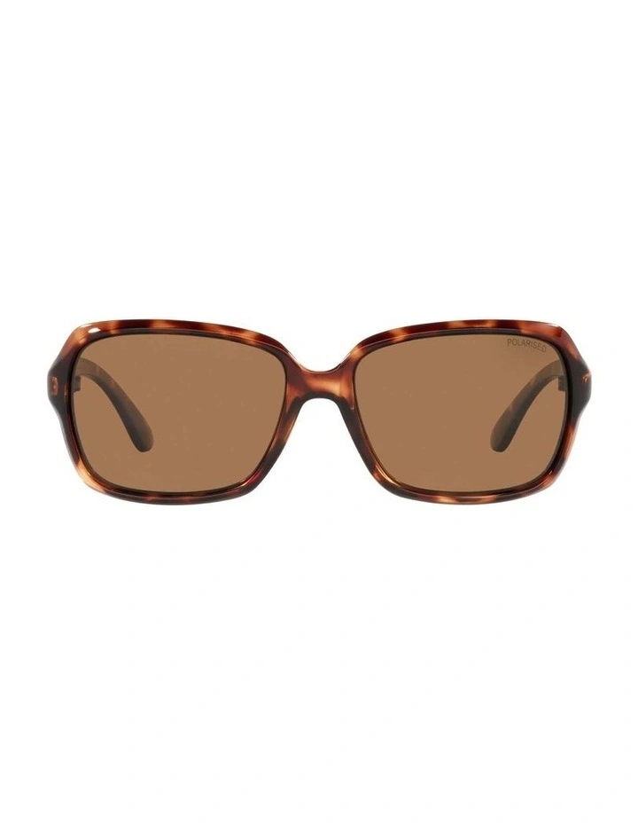 Brown/Tortoise TCC1303907 353497 Polarised Sunglasses