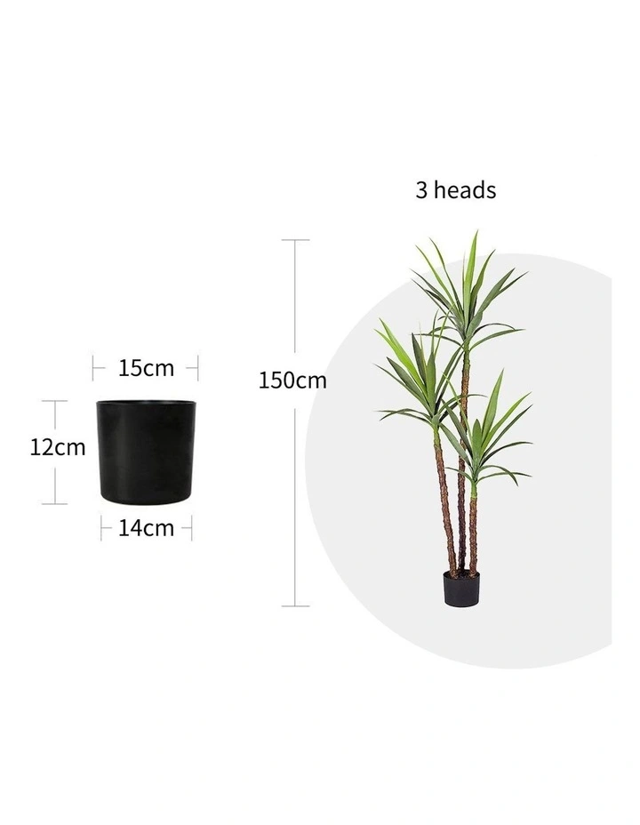 Artificial Dracaena Yucca Tree 150cm in Assorted
