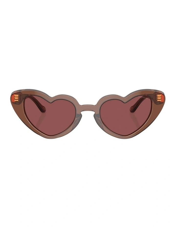 CR613 Sunglasses in Brown