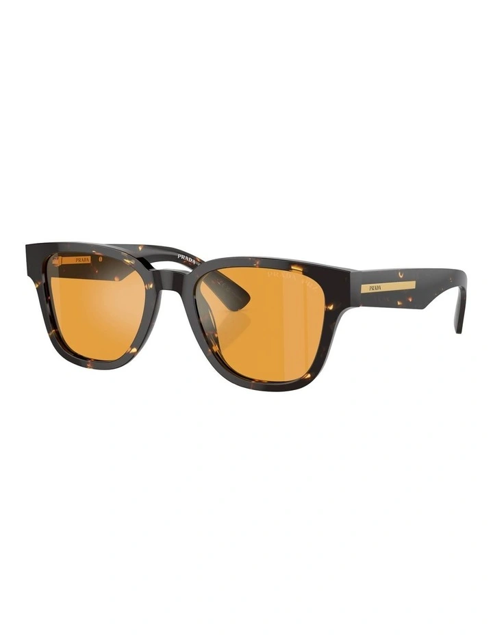 PR A04S Polarized Sunglasses in Brown