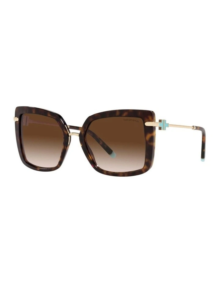 TF4185 Tortoise Sunglasses