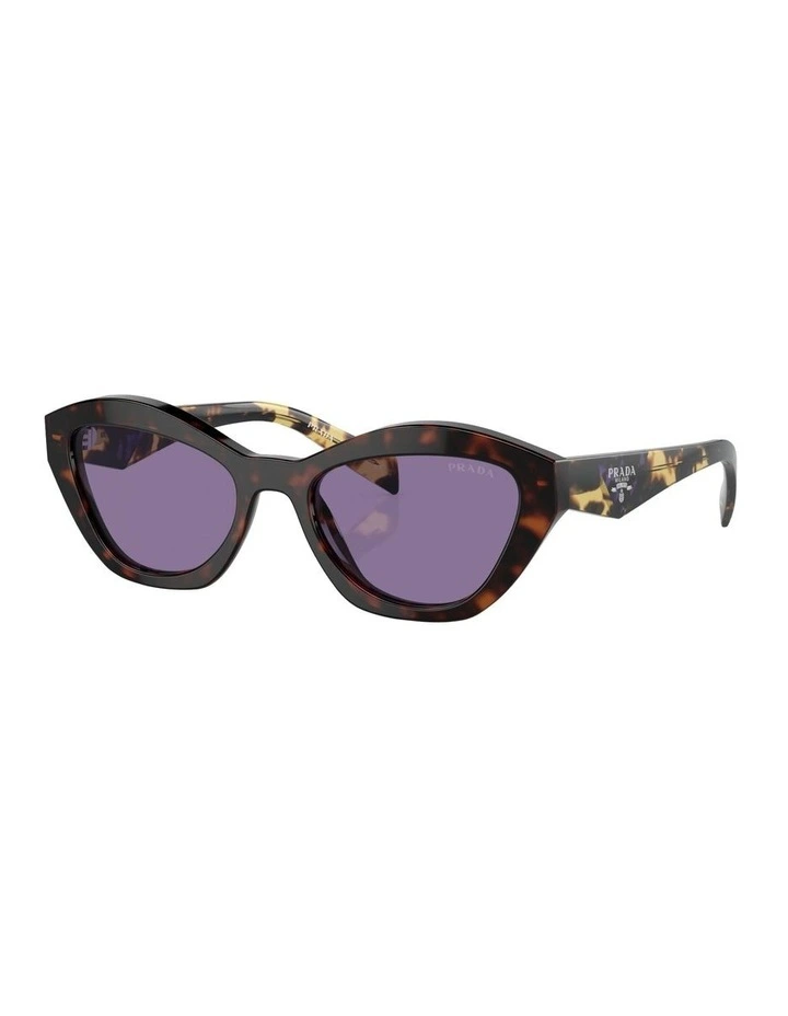 PR A02SF Sunglasses in Tortoise