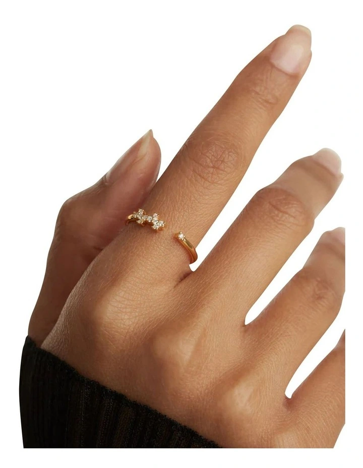 Prince Ring In Gold