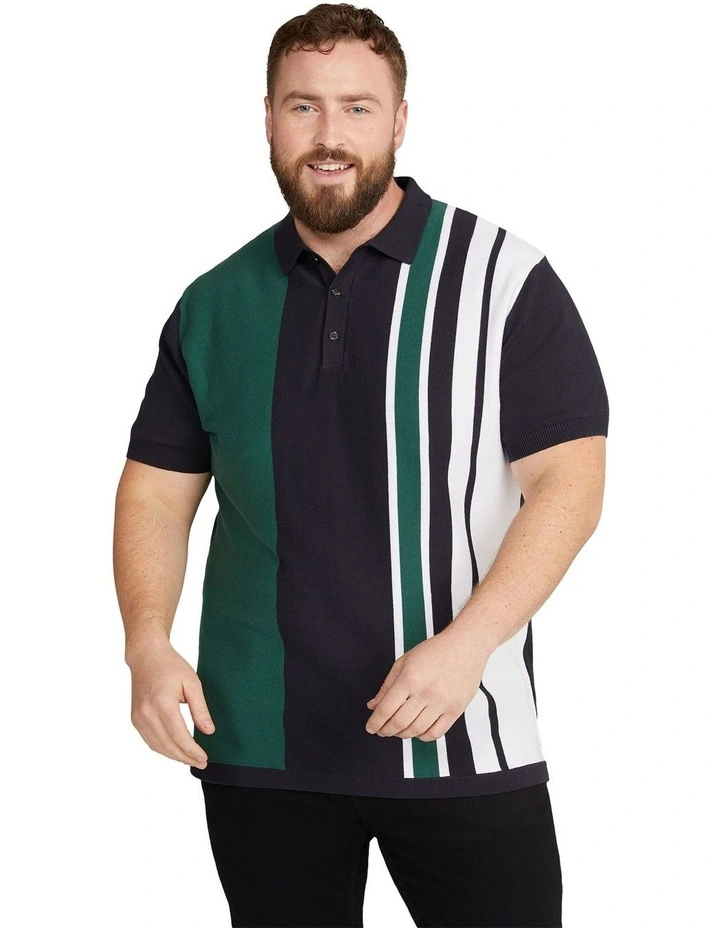 Aaron Stripe Knit Polo Shirt in Navy