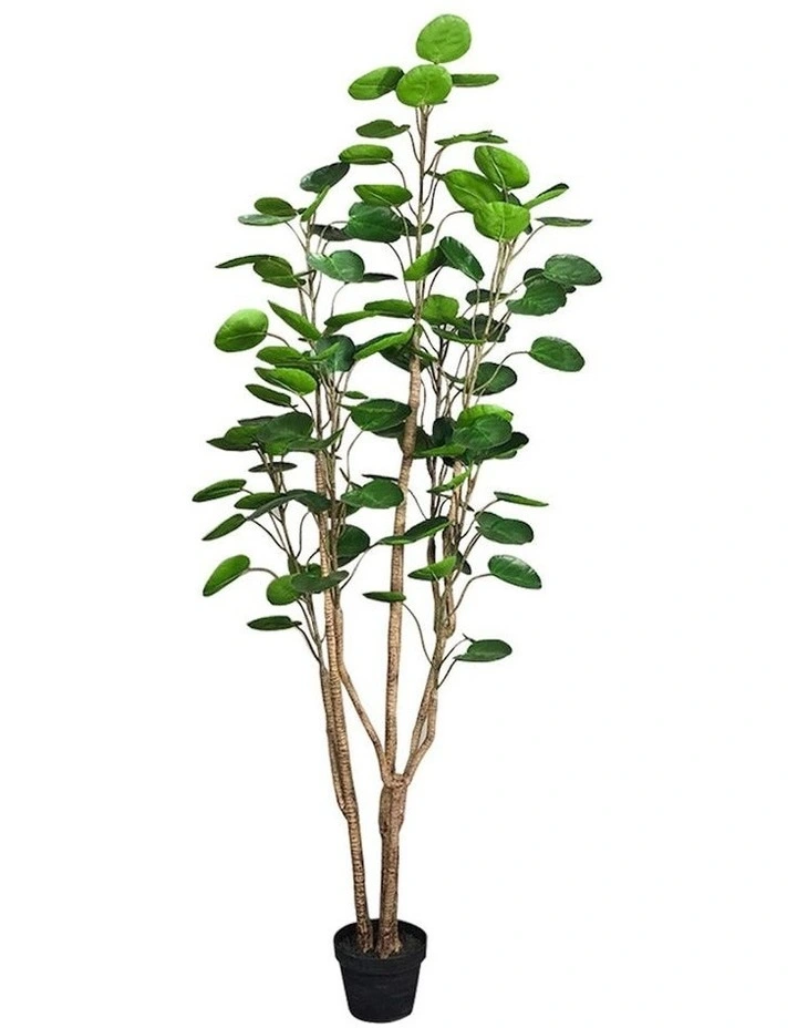 Potted Pocket Money Artificial Plant 180cm in Assorted